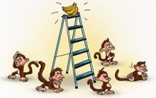 Формирование общества: эксперимент с обезьянами